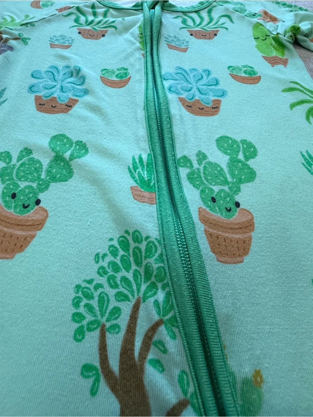 Little Sleepies Succulent Love Zippy 18-24 Months